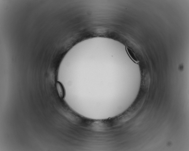 X0000100410562200807032040