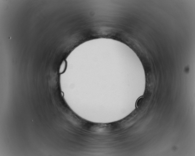 X0000100410563200807032040