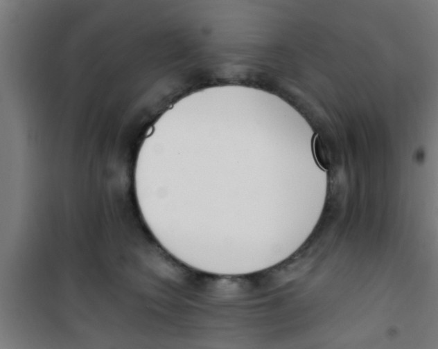 X0000100410566200807032040