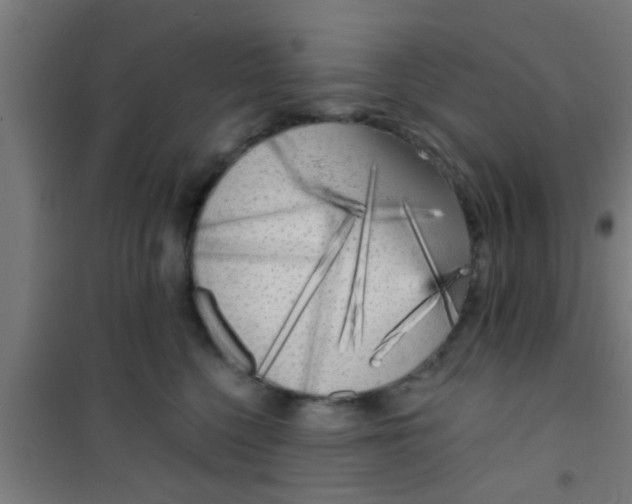 X0000100410568200807032040