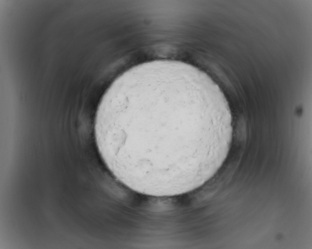 X0000100410569200807032040