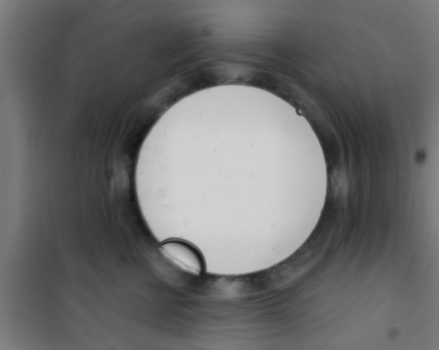 X0000100410570200807032040