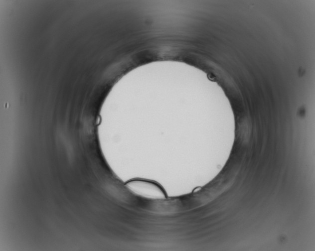 X0000100410571200807032040