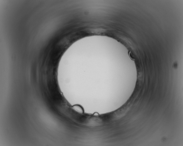 X0000100410572200807032040