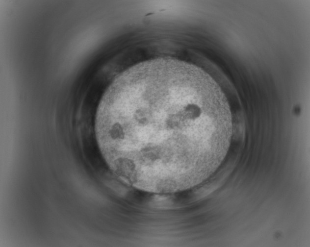 X0000100410573200807032040