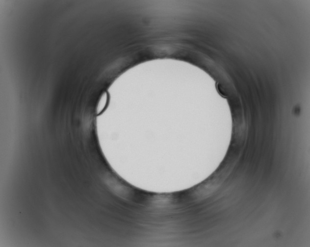 X0000100410574200807032040