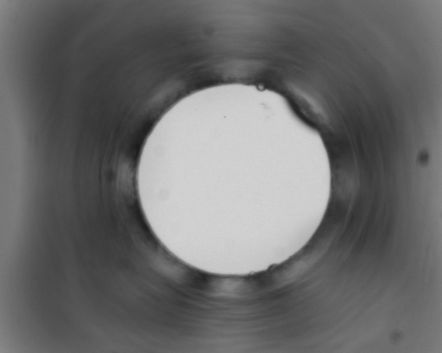 X0000100410575200807032040