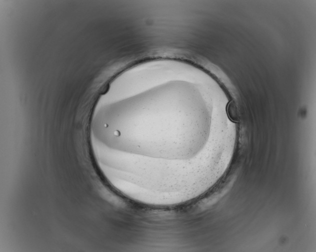 X0000100410577200807032040