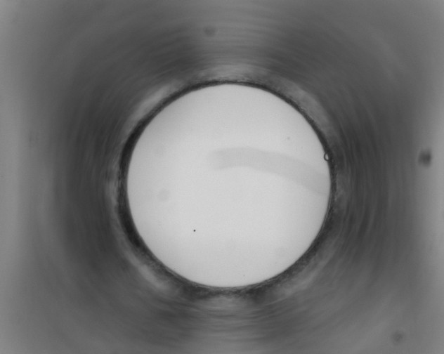 X0000100410578200807032040