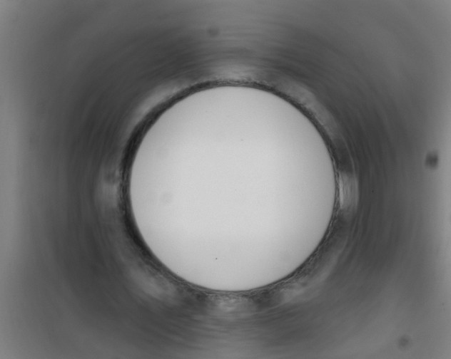 X0000100410579200807032040