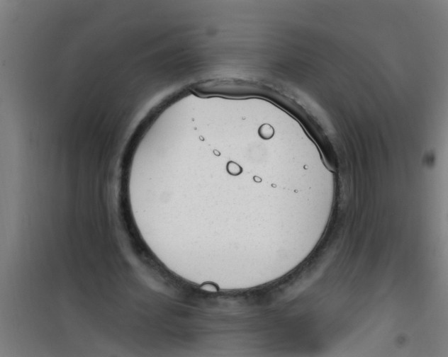 X0000100410580200807032040