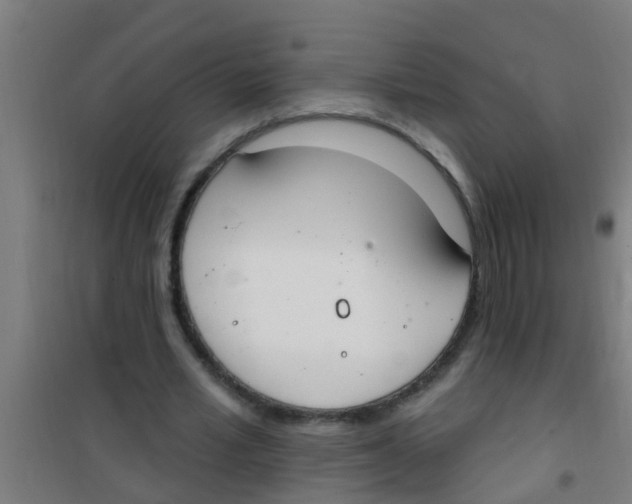 X0000100410581200807032040