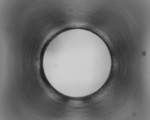 X0000100410582200807032040