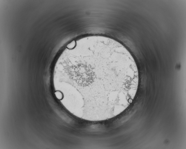 X0000100410584200807032040