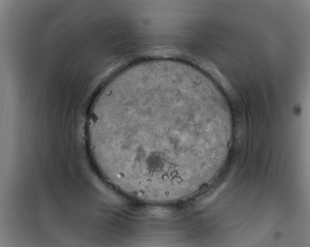 X0000100410585200807032040