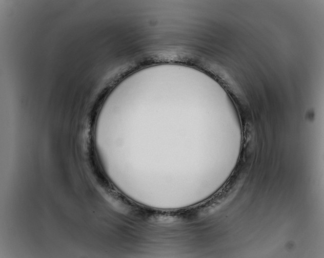 X0000100410590200807032040