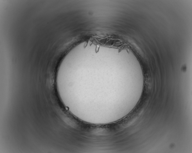 X0000100410593200807032039