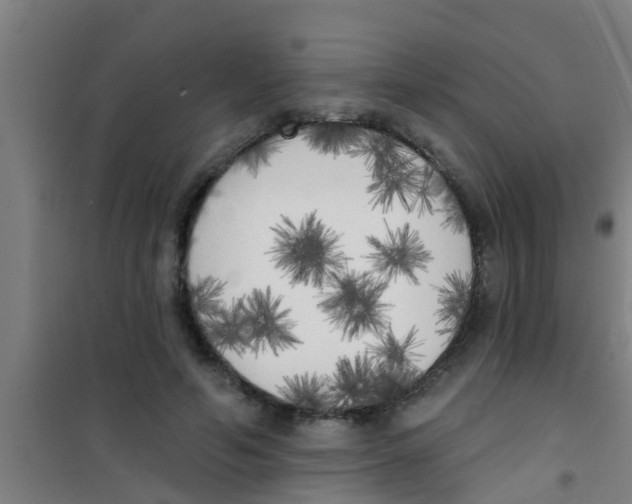 X0000100410594200807032039