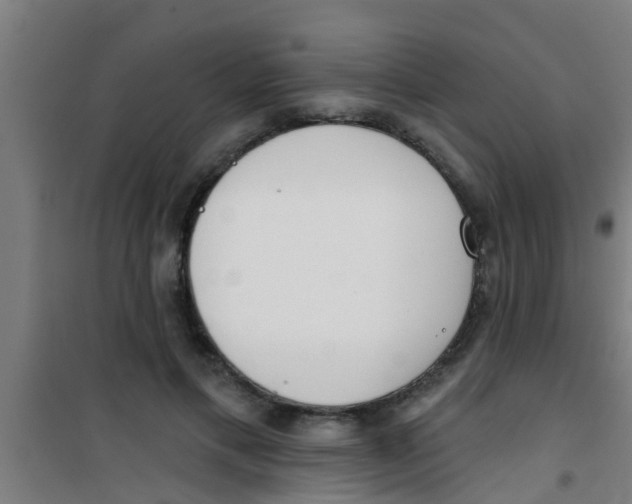 X0000100410597200807032039