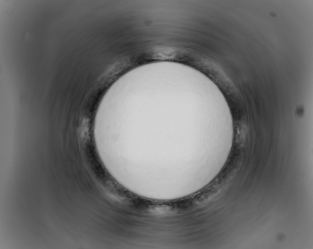 X0000100410598200807032039