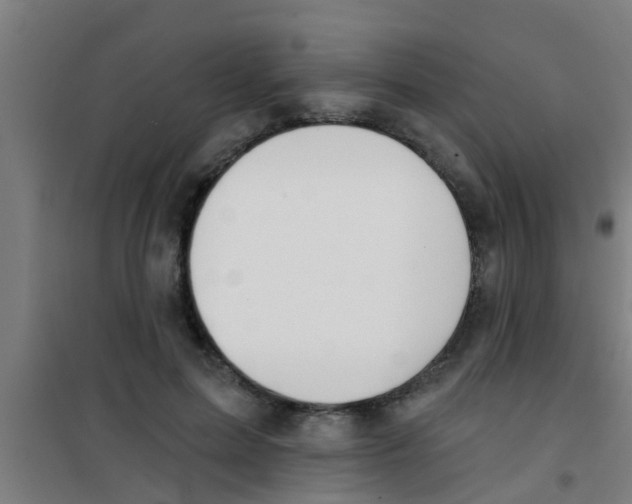 X0000100410599200807032039