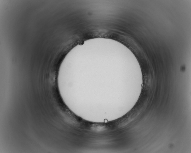 X0000100410602200807032039