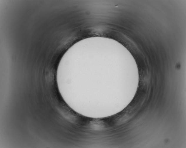 X0000100410603200807032039