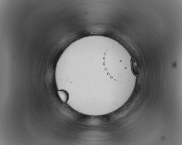 X0000100410604200807032039