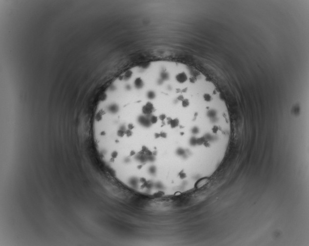 X0000100410606200807032039