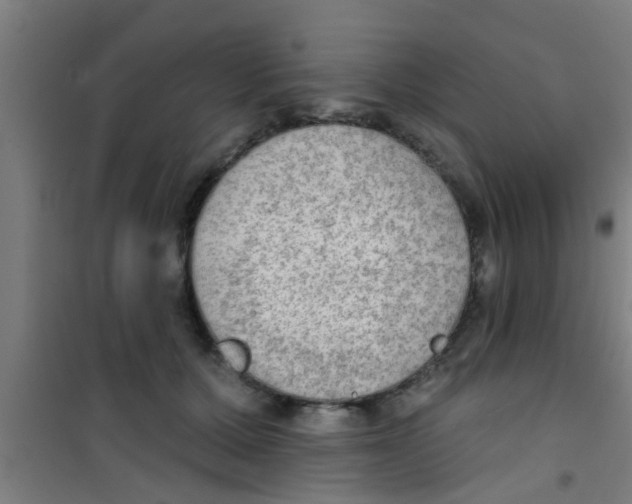 X0000100410607200807032039