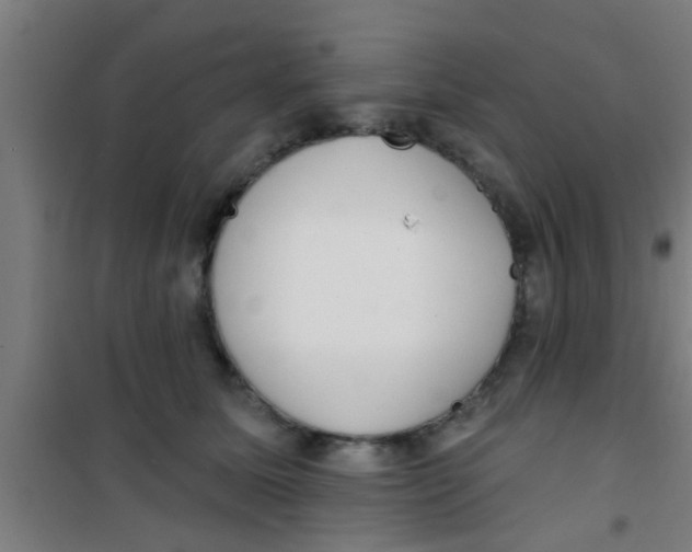 X0000100410611200807032039