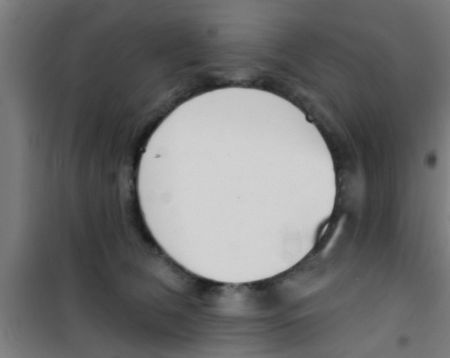 X0000100410612200807032039