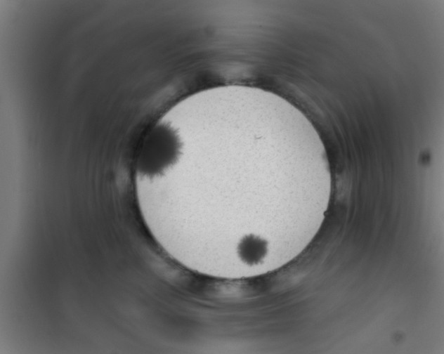 X0000100410618200807032039