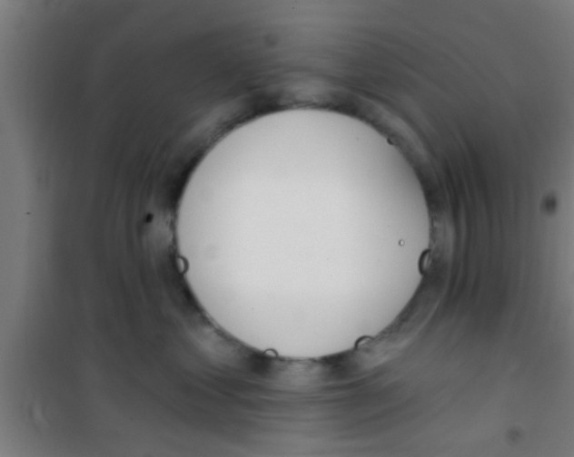 X0000100410621200807032039