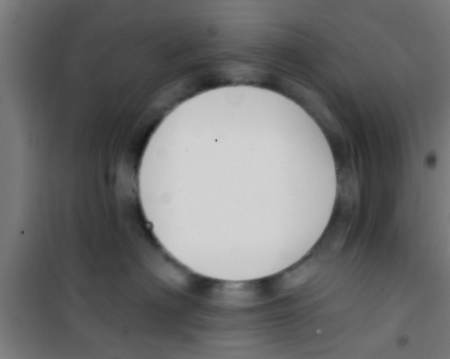 X0000100410622200807032039
