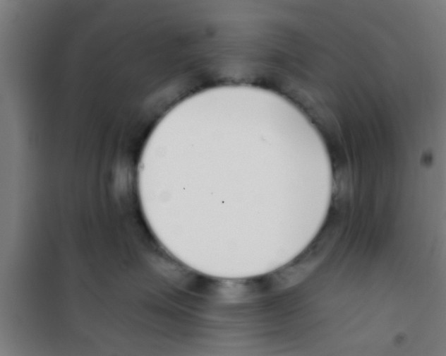 X0000100410623200807032039