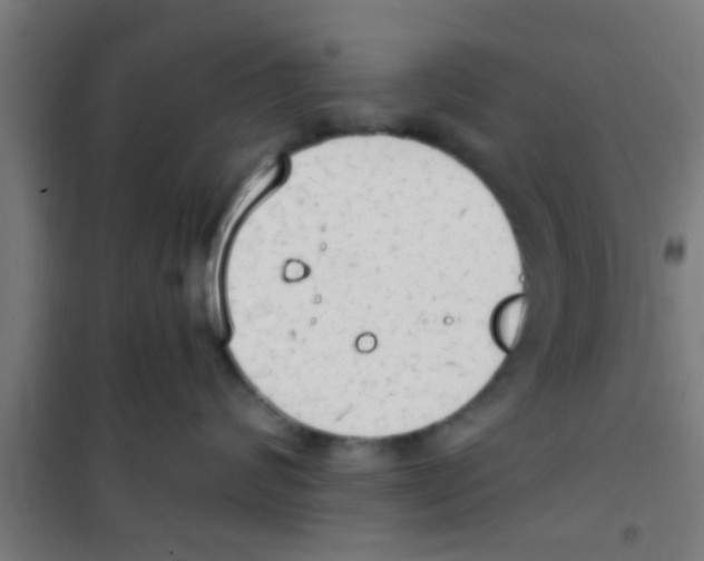 X0000100410624200807032039