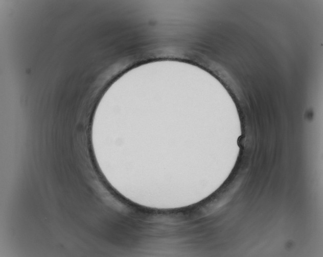 X0000100410625200807032038