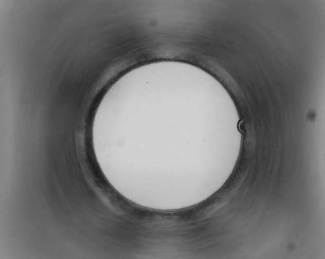 X0000100410626200807032038