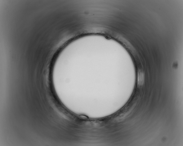 X0000100410627200807032038