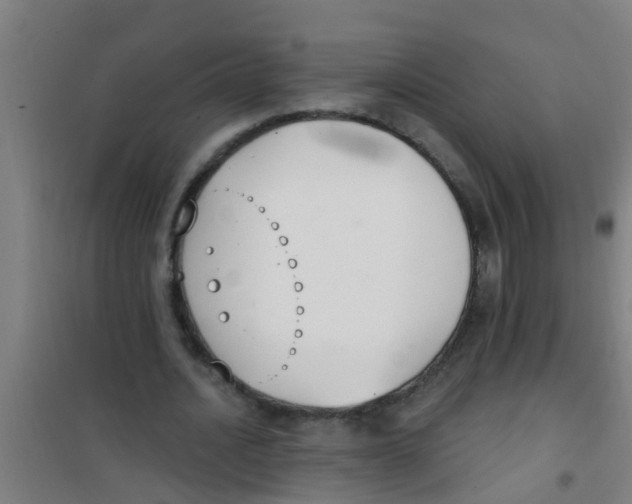 X0000100410628200807032038