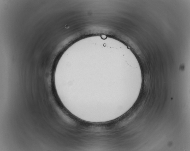 X0000100410629200807032038