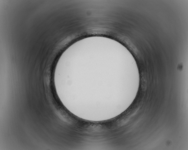 X0000100410631200807032038