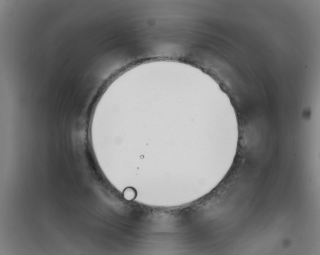 X0000100410632200807032038