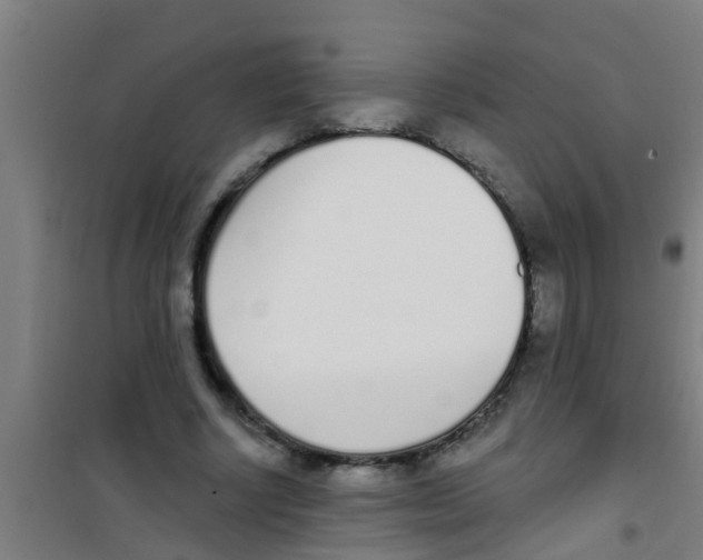 X0000100410634200807032038