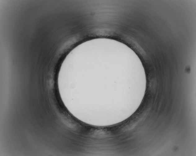 X0000100410635200807032038