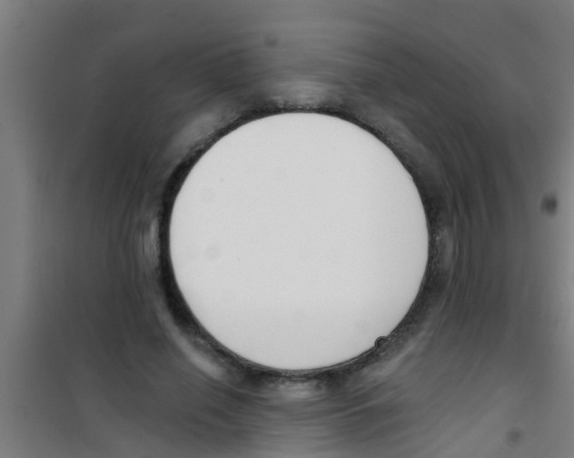 X0000100410638200807032038