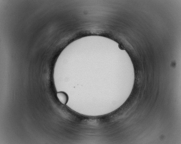 X0000100410639200807032038