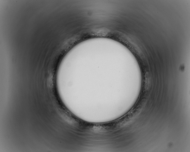 X0000100410641200807032039