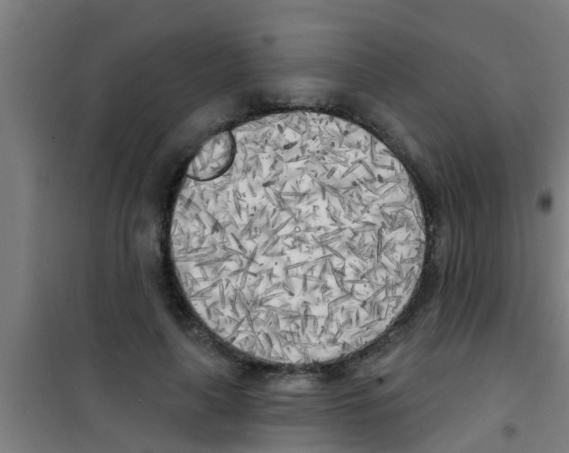 X0000100410643200807032039